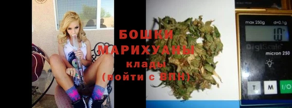 стаф Богданович