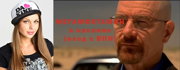 стаф Богданович