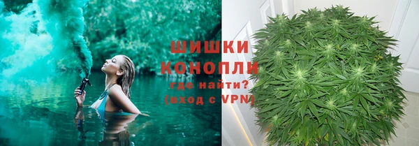 стаф Богданович