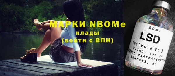 стаф Богданович