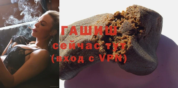 стаф Богданович