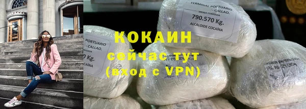 стаф Богданович