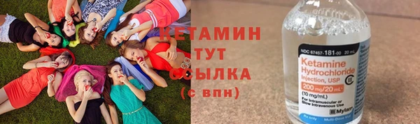 стаф Богданович