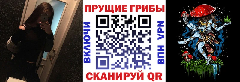 мориарти какой сайт ОМГ ОМГ онион Псилоцибиновые грибы MAGIC MUSHROOMS Короча наркошоп